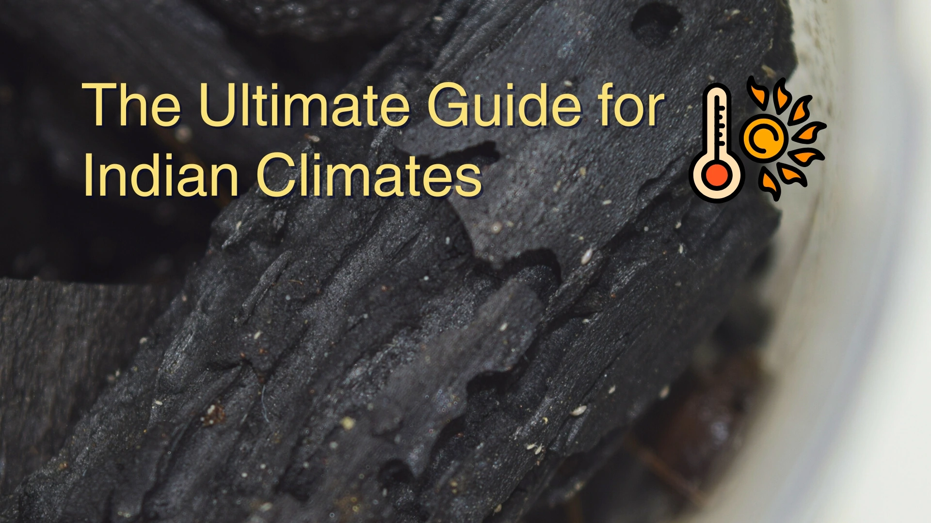 : Text on image reads “The Ultimate Guide for Indian Climates” over a close-up of charcoal pieces with small white springtails.