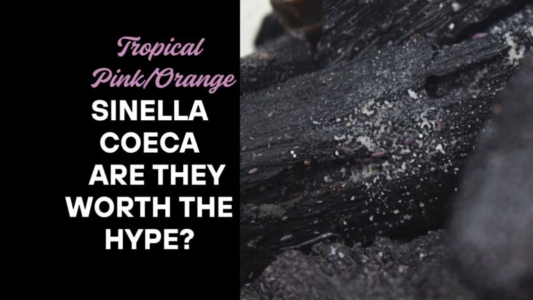 Close-up of purple springtails on charcoal with text “Tropical Pink/Orange Sinella Coeca – Are They Worth the Hype?