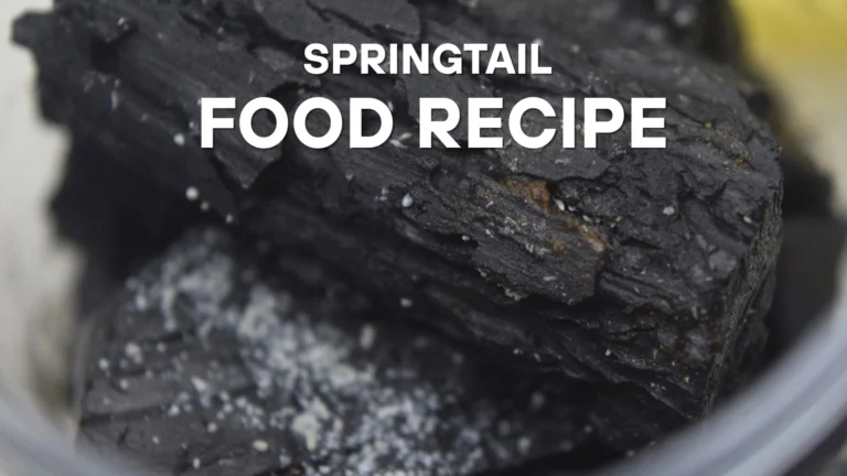 Close-up view of charcoal pieces sprinkled with springtail food mix and tiny white springtails crawling on the surface, with bold white text overlay reading “Springtail Food Recipe.