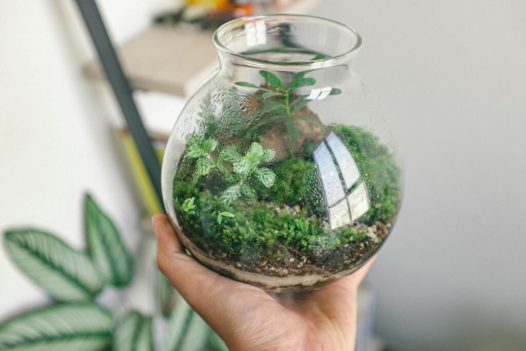 A hand holds a glass terrarium with lush green plants inside, showcasing nature indoors.
